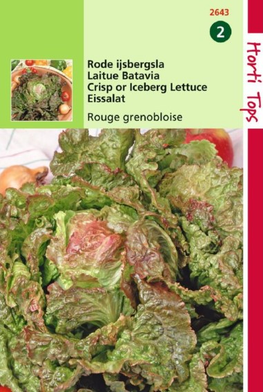 IJsbergsla Rode Grenobloise (Lactuca sativa)